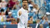 Sârbul Novak Djokovic s-a calificat în finala Marelui Şlem