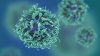 STUDIU: Anticorpul unui supravieţuitor al virusului Ebola, cheia unui viitor vaccin