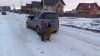 Distracţii periculoase pe timp de iarnă! Un şofer a plimbat câţiva copii cu săniile legate de maşină pe o stradă din Capitală