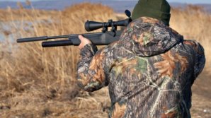 A împuşcat un câine în mijloc de câmp. Ce pedeapsă îl aşteaptă pe un vântător pentru "eutanasierea" animalului