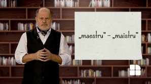 DE VORBĂ DESPRE VORBE cu Vsevolod Cernei. Diferenţa dintre perechea de cuvinte maestru şi maistru (VIDEO)