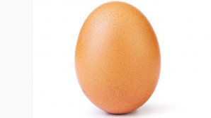 UN OU, REGELE INSTAGRAMULUI. A adunat peste 24 de milioane de like-uri într-o săptămână