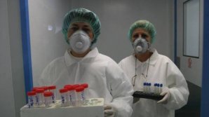 Epidemie de gripă porcină în Georgia: 15 persoane au murit, iar peste 1.000 au ajuns la spital