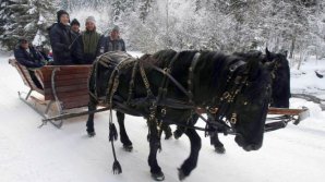 Veselie mare în satul Dănceni. Oamenii s-au plimbat cu o sanie trasă de cal