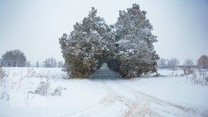 Noaptea va ninge în  toată ţara. Câte grade vor indica termometrele