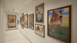 Un muzeu dedicat câinilor se va deschide în New York. Ce vor putea admira iubitorii de animale de companie