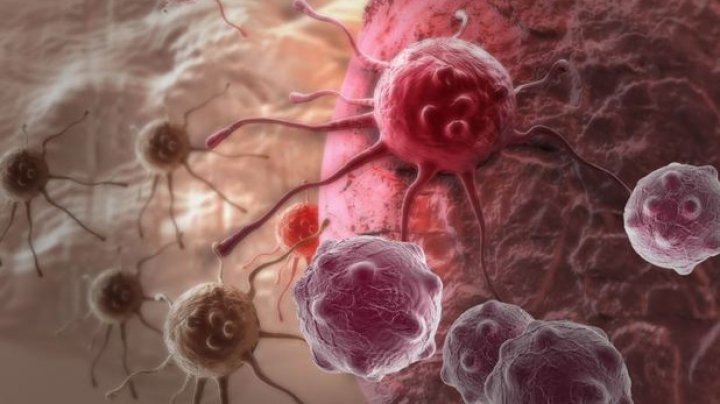 STUDIU: Chimioterapia ar putea favoriza răspândirea celulelor cancerului mamar