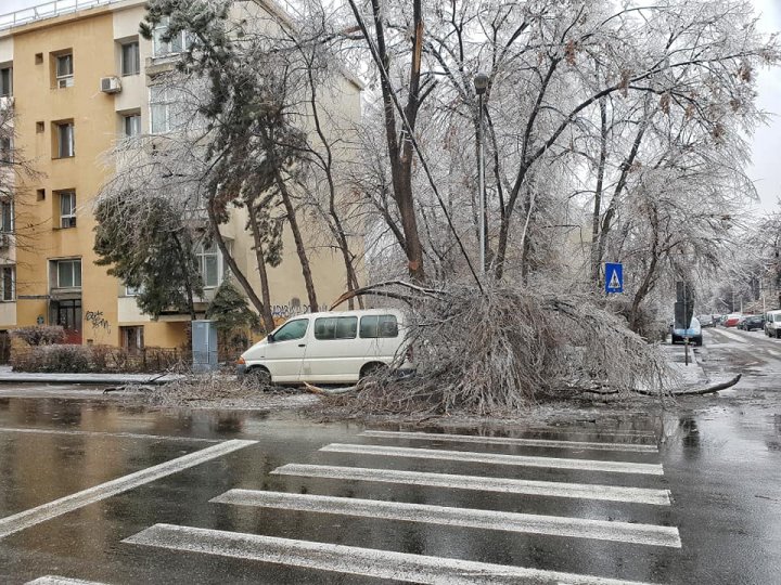 PRĂPĂD în România. Copaci rupți, drumuri de sticlă, iar sute de oameni au ajuns la spital