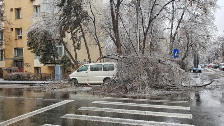 România, calamitată de ploaia înghețată. Mii de copaci căzuți pe străzi, sute de mașini avariate