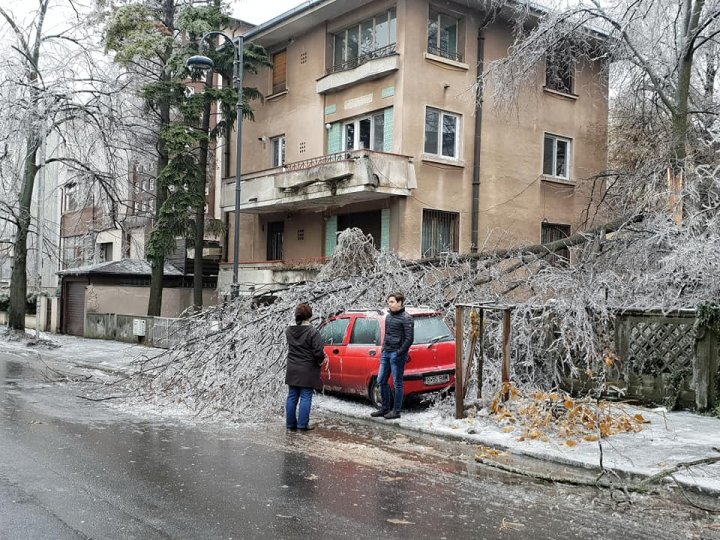 PRĂPĂD în România. Copaci rupți, drumuri de sticlă, iar sute de oameni au ajuns la spital