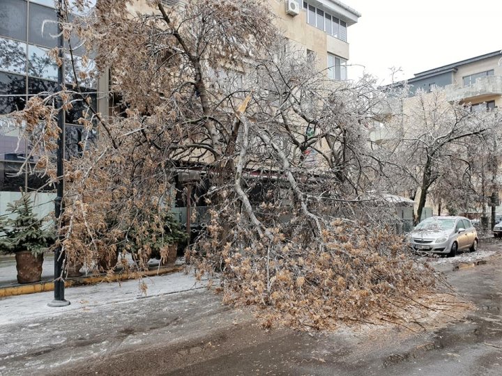 PRĂPĂD în România. Copaci rupți, drumuri de sticlă, iar sute de oameni au ajuns la spital