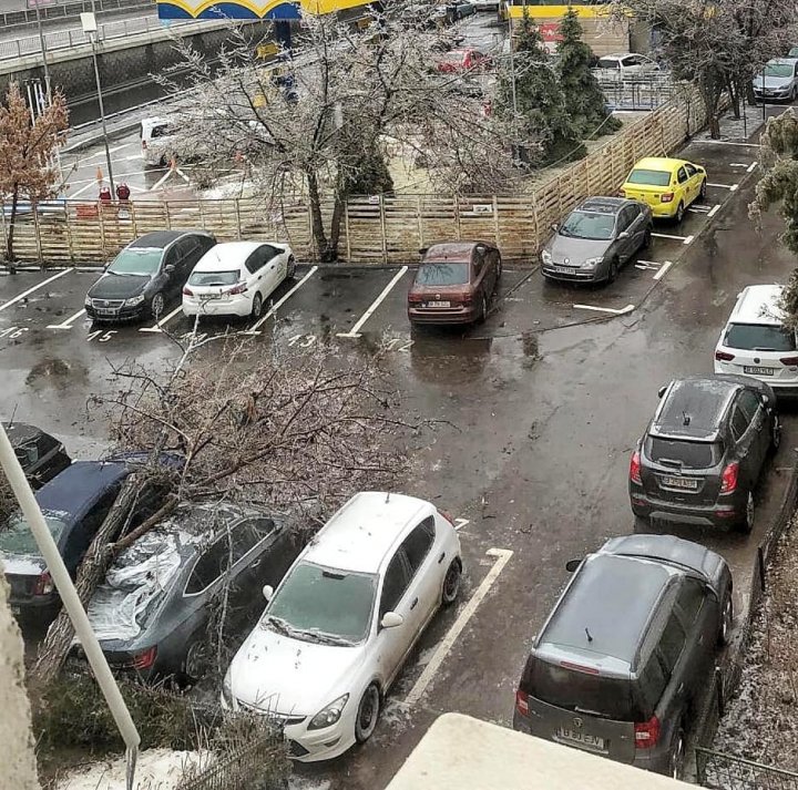 PRĂPĂD în România. Copaci rupți, drumuri de sticlă, iar sute de oameni au ajuns la spital