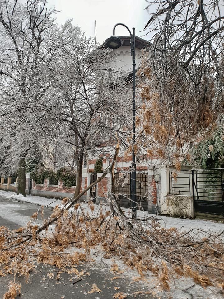 PRĂPĂD în România. Copaci rupți, drumuri de sticlă, iar sute de oameni au ajuns la spital