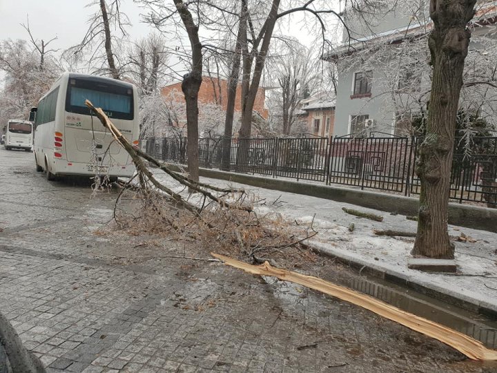 PRĂPĂD în România. Copaci rupți, drumuri de sticlă, iar sute de oameni au ajuns la spital