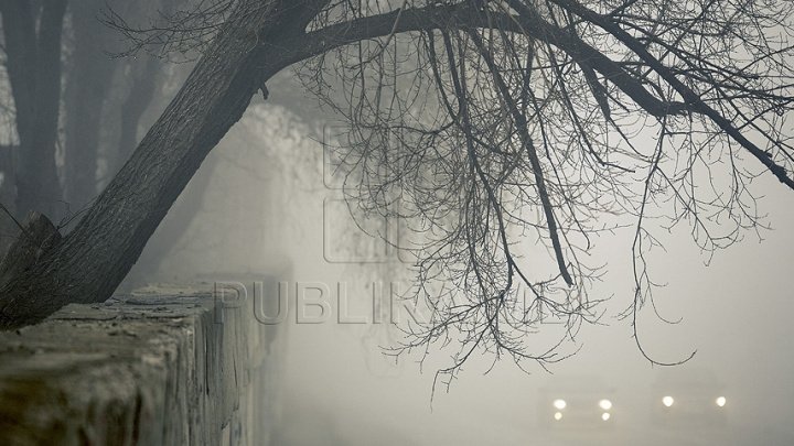 Cod Galben de ceaţă! Şoferii şi pietonii, îndemnaţi să manifeste prudenţă maximă  