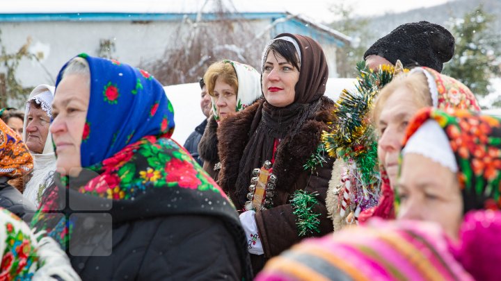 Festivalul colindelor la Manastirea Tiganesti (FOTOREPORT)