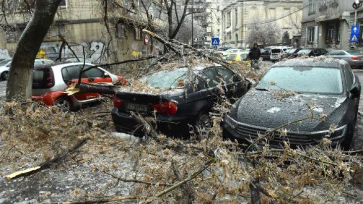 Freezing rain în București: MII de copaci și stâlpi rupți şi 363 de mașini avariate