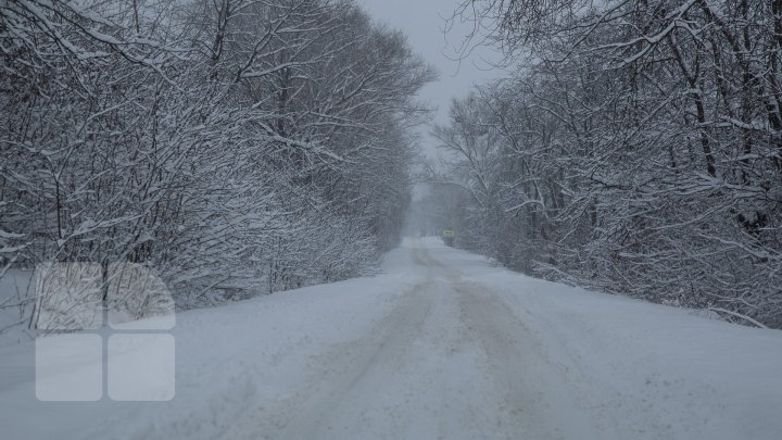 MĂSURI DE URGENŢĂ din cauza URGIEI ALBE. Zăpada şi viscolul s-au dezlănţuit în Moldova. Cum se circulă pe drumurile din țară