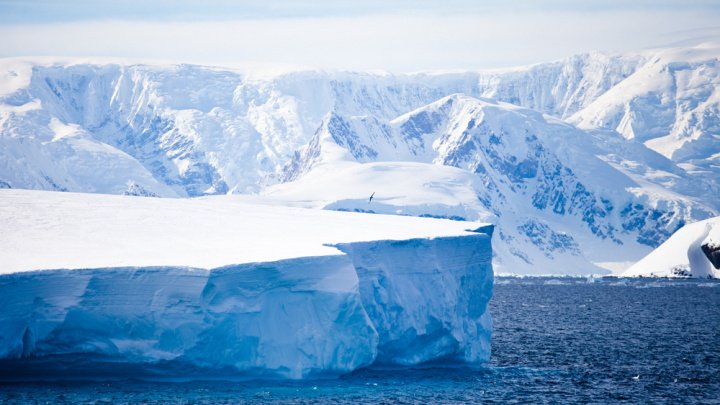 STUDIU: Topirea gheţii din Antarctica s-a accelerat de şase ori în ultimele patru decenii