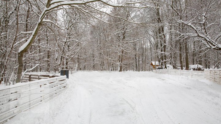 Ce surprize ne aduce vremea spre sfârşit de săptămână şi ce temperaturi ne aşteaptă