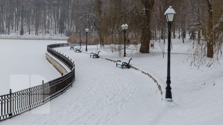Ninsorile au creat PEISAJE DE POVESTE. Adulţii admiră splendoarea iernii, iar copiii se distează pe pârtii improvizate (FOTO)
