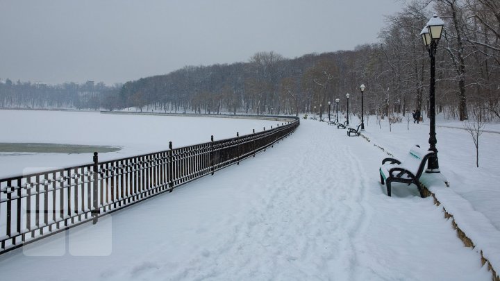Ninsorile au creat PEISAJE DE POVESTE. Adulţii admiră splendoarea iernii, iar copiii se distează pe pârtii improvizate (FOTO)