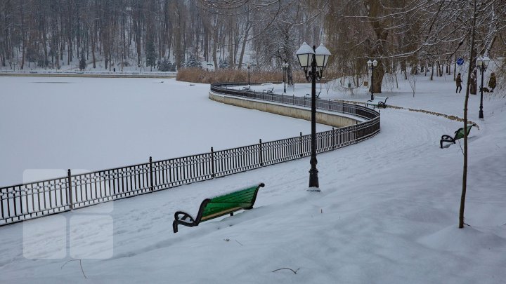 Ninsorile au creat PEISAJE DE POVESTE. Adulţii admiră splendoarea iernii, iar copiii se distează pe pârtii improvizate (FOTO)