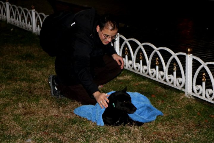 Gestul EMOŢIONANT al unui medic. Bărbatul înveleşte ANIMALELE din stradă, ca acestea să nu îngheţe (FOTO)