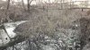 Albia râului Bîc va fi curăţată şi amenajată, după ce Guvernul României va oferi 10 milioane de lei pentru lucrări