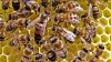 Cea mai modernă prisacă, dar şi cel mai inovativ laborator apicol din ţară se află la Universitatea Agrară