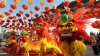 Vietnamezii se pregătesc de noul an chinezesc. Oamenii cumpără cadouri, decorațiuni şi tradiţionalii copaci kumquat