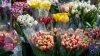 Forfotă mare la piața angro din Capitală, de Ziua Îndrăgostiţilor. Ce flori sunt cele mai solicitate şi cât costă