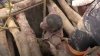 TRAGEDIE FĂRĂ MARGINI. 22 de oameni au murit înecaţi în minele din Zimbabwe