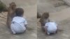Băieţel de doi ani, răpit de o maimuţă care voia să se joace cu el. REACŢIA animalului când o femeie vrea să ia copilul (VIDEO)