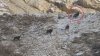 O scenă fantastică filmată în munții Bucegi face furori pe Facebook (VIDEO)