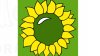 Partidul Verde Ecologist s-a lansat în сursa electorală pentru scrutinul din 24 februarie