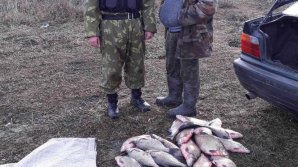 Mai mulţi bărbaţi, prinsi în timp ce pescuiau ilegal pe lacul Beleu (FOTO)