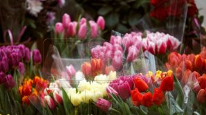 Timp de trei zile, comercianţii de flori vor fi verificaţi de inspectorii fiscali