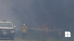 Ianuarie 2019, cea mai călduroasă lună din istoria înregistrărilor meteorologice în Australia (VIDEO)