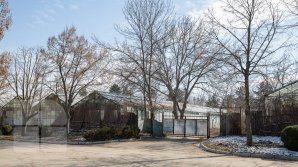 METEO: Cum ne surprinde vremea în ultimele zile din februarie