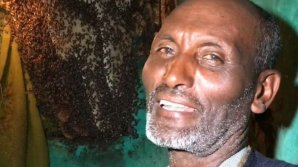 UN FENOMEN CIUDAT se întâmplă cu un bărbat. De ce se țin albinele de el oriunde ar merge