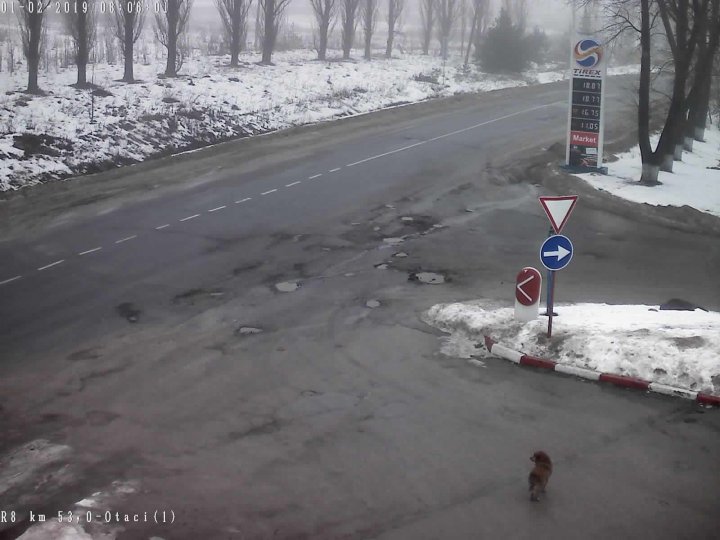 Ceață densă în toată țara. Cum se circulă pe drumurile naționale (GALERIE FOTO)