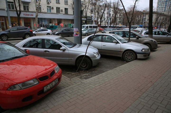 Cu ce a greșit copacul acesta de pe Bulevardul Ștefan Cel Mare? Cum a fost "pedepsit" de niște șoferi care nu știu să parcheze (FOTO)