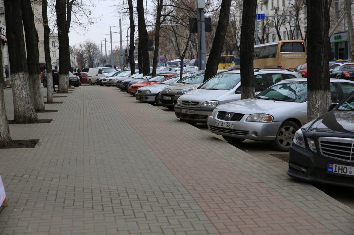 Cu ce a greșit copacul acesta de pe Bulevardul Ștefan Cel Mare? Cum a fost "pedepsit" de niște șoferi care nu știu să parcheze (FOTO)