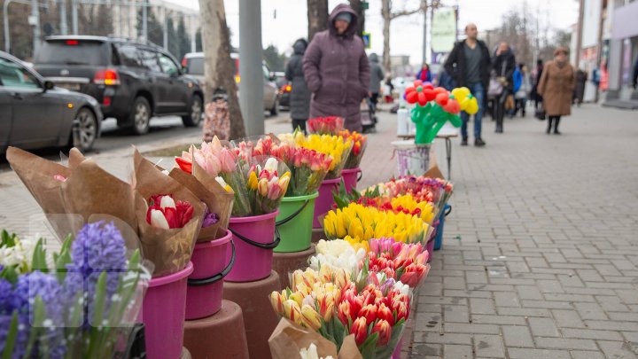 Vestitorii primăverii au împânzit Capitala. Comercianții și-au scos în vânzare cele mai inedite mărţişoare (FOTOREPORT)