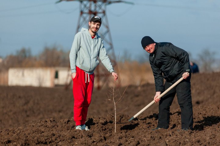 PARC SALUBRIZAT LA ANENII NOI: Acţiunea a avut loc la iniţiativa lui Alexandru Jizdan