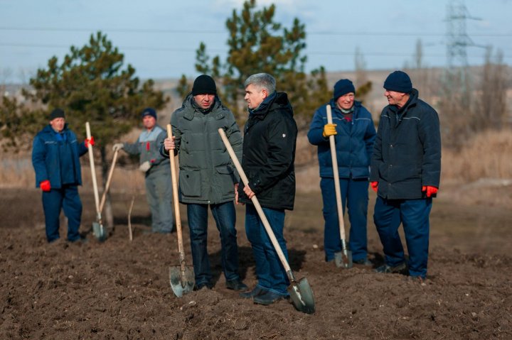 PARC SALUBRIZAT LA ANENII NOI: Acţiunea a avut loc la iniţiativa lui Alexandru Jizdan