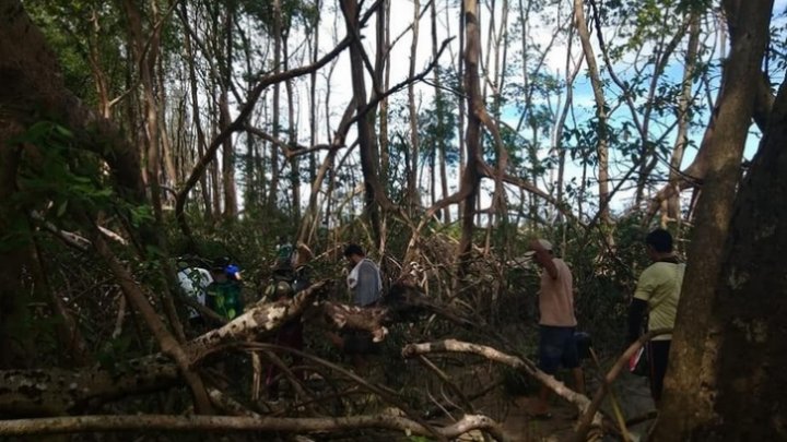 DESCOPERIRE TERIFIANTĂ în jungla amazoniană. Cum a ajuns o balenă MOARTĂ atât de departe de mal? (FOTO)