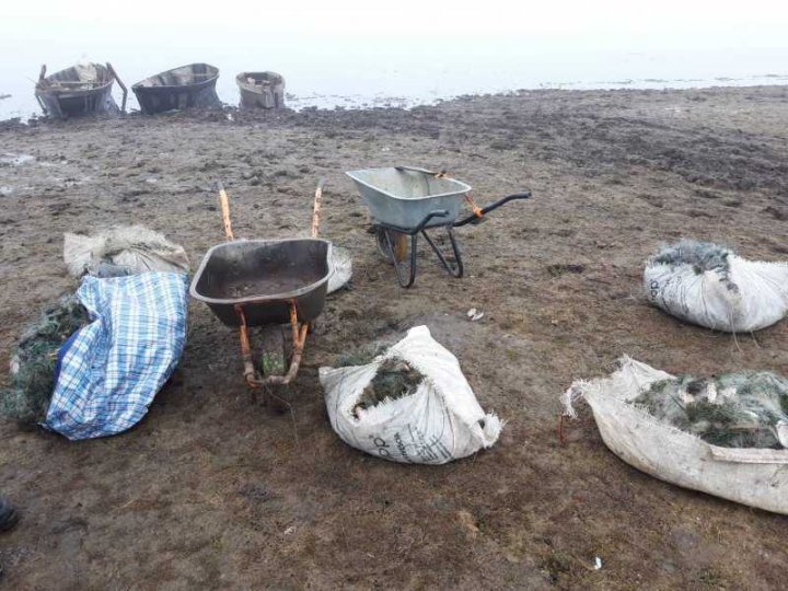 Doi braconieri, reținuți la pescuit în apele de frontieră (FOTO)