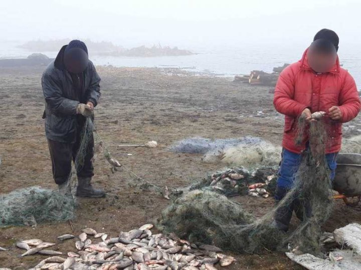 Doi braconieri, reținuți la pescuit în apele de frontieră (FOTO)